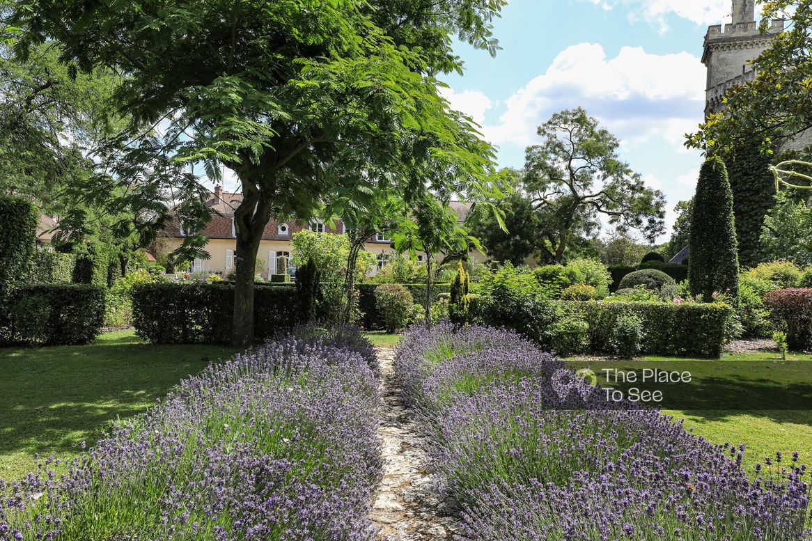 Jardin à la française