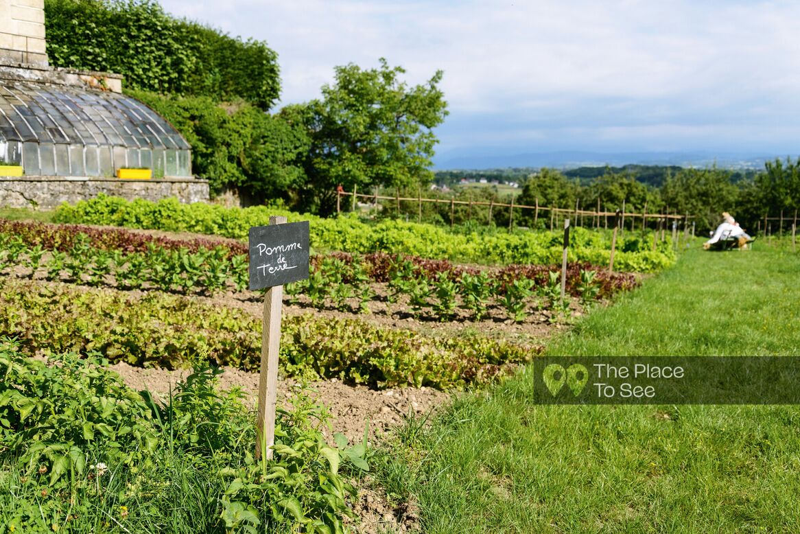 Potager / Verger