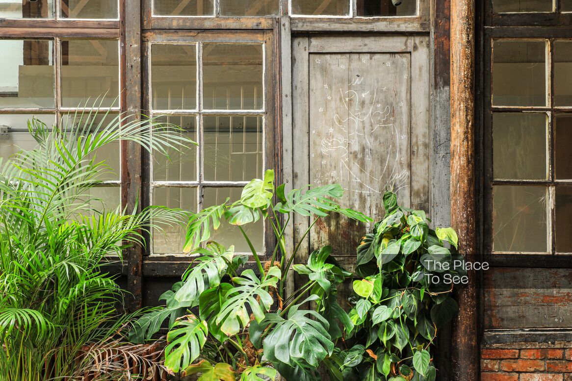 Jardin d'hiver/Patio