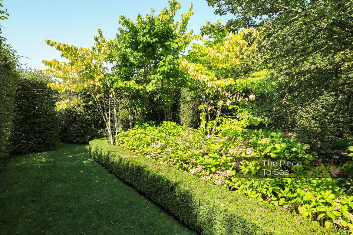 Jardin à la française