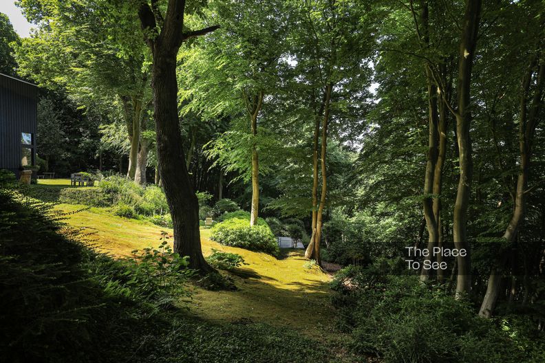 Maison d'architecte dans la forêt en bord de mer