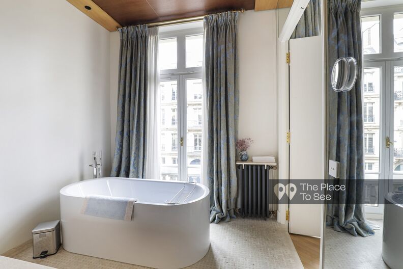 Luxury Parisian apartment