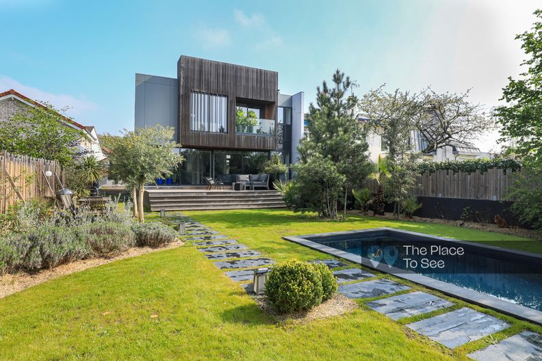 Architect house with pool and palm trees