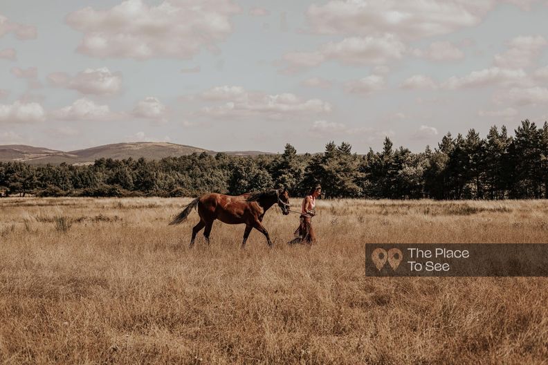 Ranch et vaste prairie