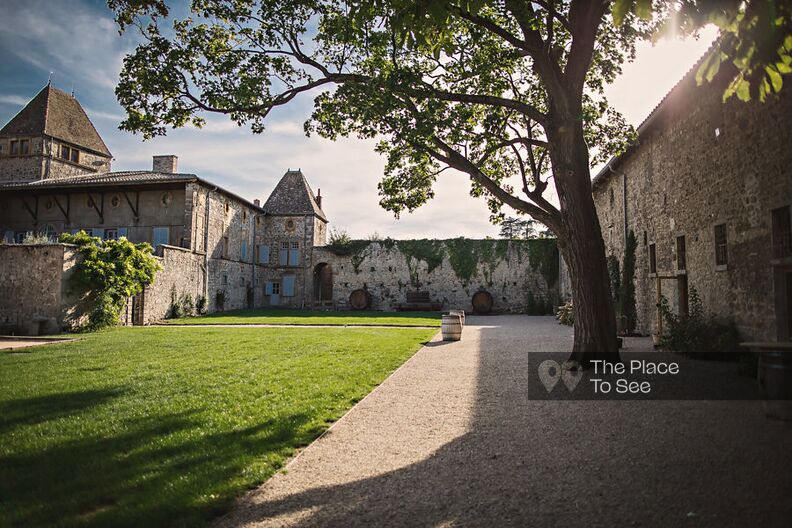 Charming castle with elaborate park and vineyards