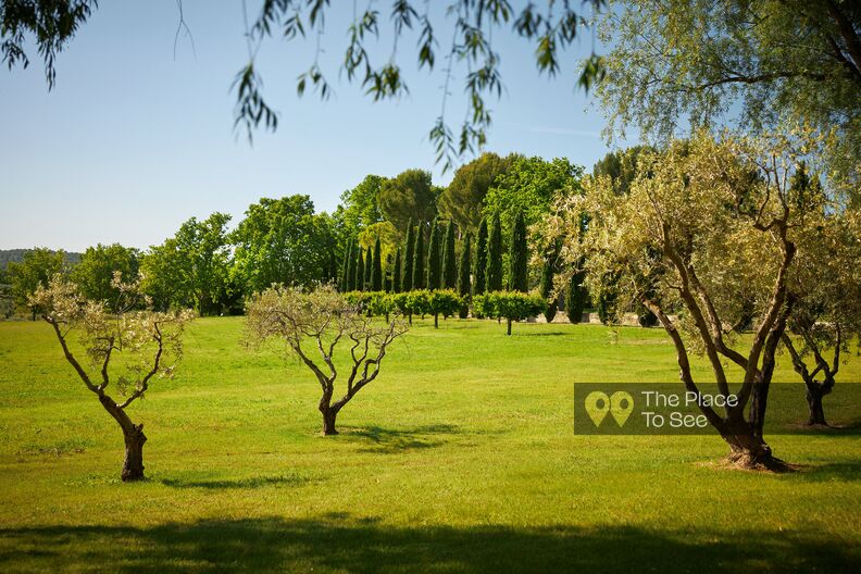 Magnifique château romantique au milieu des vignes 