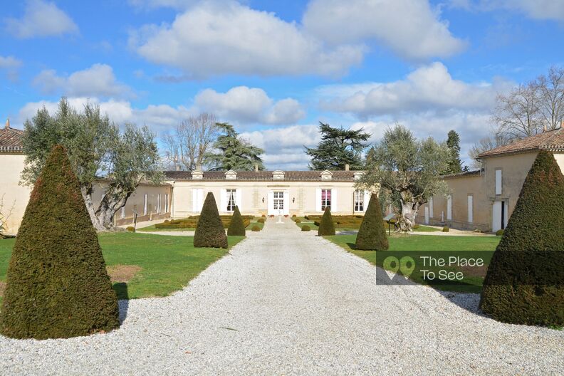 Mansion in a vineyard