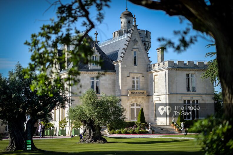 Castle in the middle of the vineyards with its wine cellar